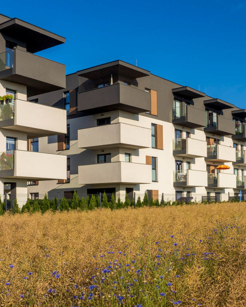 Zdjęcie - Budynki osiedla Nowy Sikornik