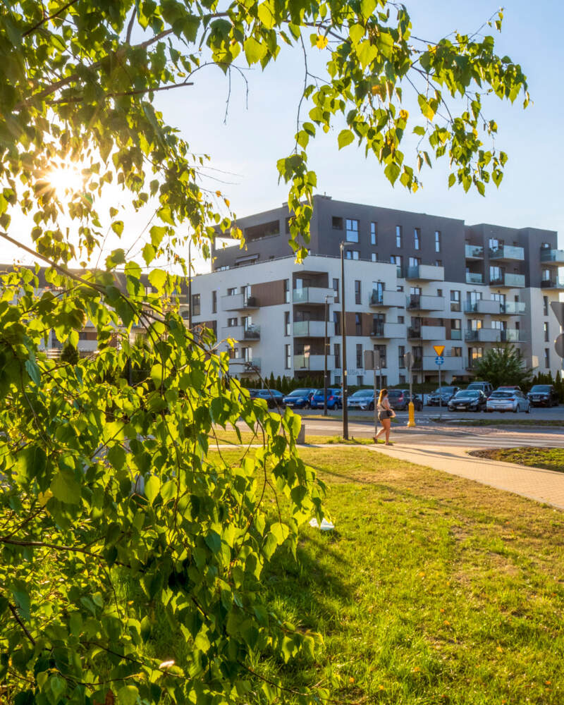 Zdjęcie - Budynki osiedla Nowy Sikornik