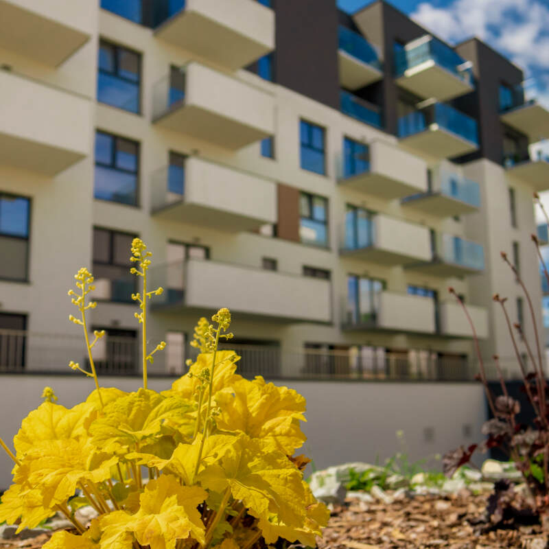 Zdjęcie - Budynki osiedla Nowy Sikornik